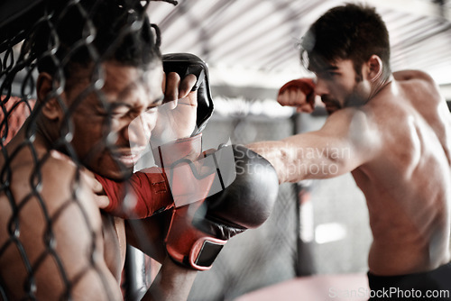 Image of Punch, pain and men in cage for kickboxing competition, challenge and fitness with fight sports in gym. Boxing match, strong fighter and sparring with exercise, practice and power in battle together.