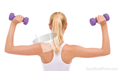 Image of Woman, dumbbell and studio exercise for arm workout on white background for challenge, strength or mockup space. Female person, weightlifting and back view for training fitness, performance or muscle