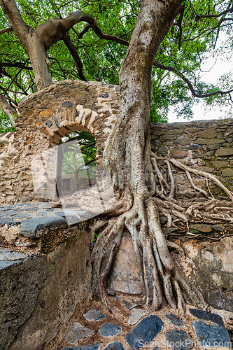 Image of UNESCO Fasilides Bath, Gondar Ethiopia, Africa culture architecture