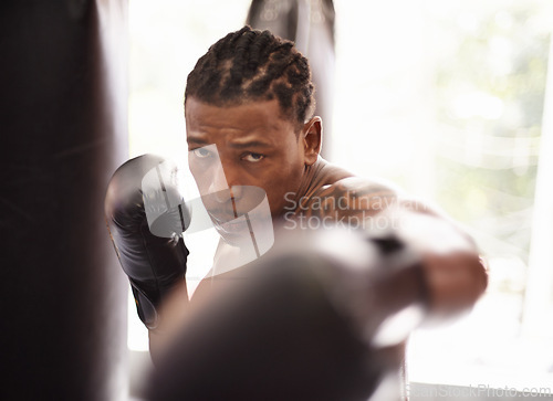 Image of Punch, portrait and black man with boxing gloves in gym for fitness challenge, fight and competition training. Power, fist and serious face of champion boxer at workout with confidence in sports club