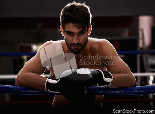 Image of Portrait, gloves and man in serious boxing ring for exercise, challenge or competition fight in dark gym. Power, muscle or champion boxer at workout with confidence, pride or fitness in sports battle