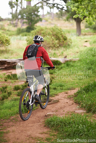 Image of Fitness, bike and man cycling in nature for adventure, discovery or off road sport hobby. Exercise, health and wellness with athlete or cyclist on bicycle in countryside for cardio training from back