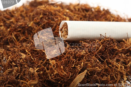 Image of cigarette on tabacco