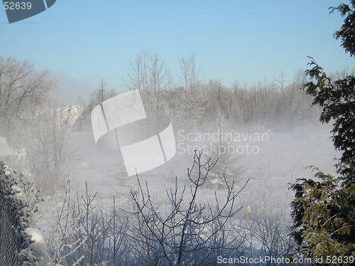 Image of January