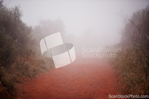 Image of Nature, landscape and fog in a forest outdoor for travel, journey or morning, peace and winter adventure. Mountain path, weather and environment for camping, hiking or backpacking vacation or trip