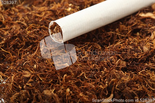 Image of tabacco product