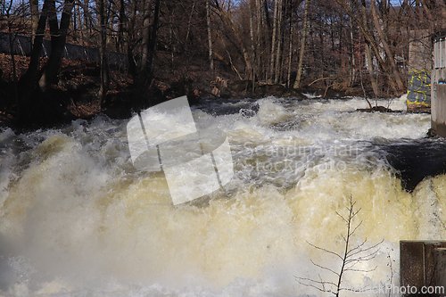 Image of Foss