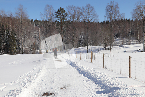 Image of Vinter