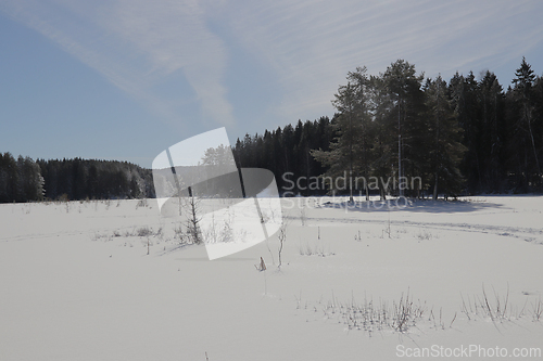 Image of Vinter