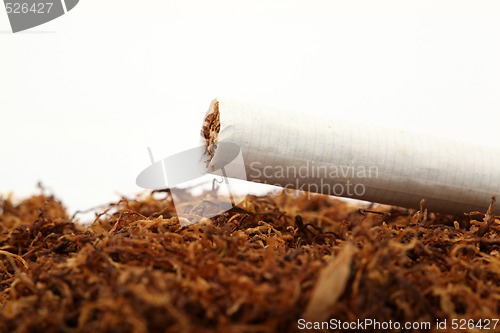 Image of cigarette tabacco