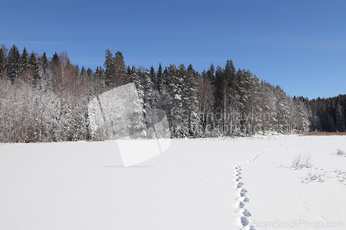 Image of Vinter