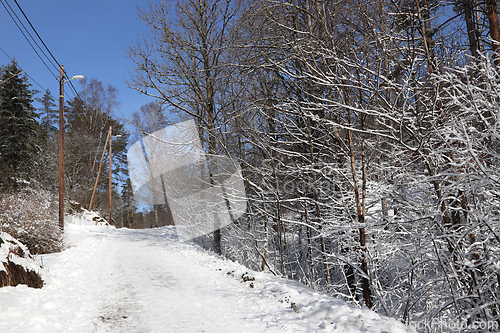 Image of Vinter i Oslo