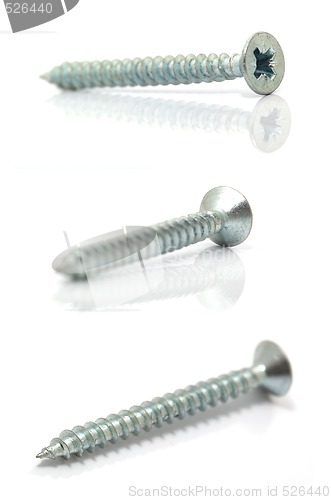 Image of screws on white