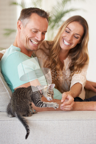 Image of Man, woman are happy with kitten and pet love, support and care with trust, playful and relax on sofa at family home. Couple with baby cat, kindness and affection with animal on couch for adoption