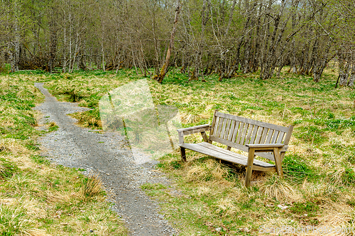 Image of Serene park bench by a winding gravel path in a lush green fores