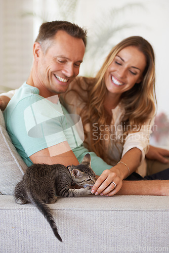 Image of Man, woman and happiness with kitten and pet love, support and care with trust, playful and relax on sofa at family home. Couple with cat, kindness and affection with animal on couch for adoption