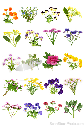 Image of Spring Summer Edible British Flower Collection