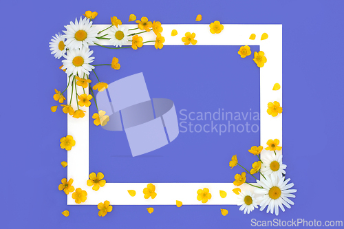 Image of Spring Daisy and Buttercup Flower Background Frame