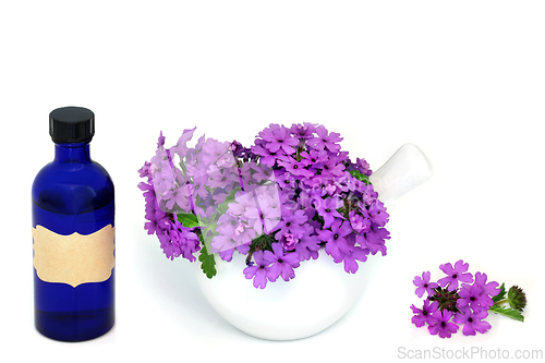 Image of Verbena Herb Flowers with Aromatherapy Essential Oil Bottle