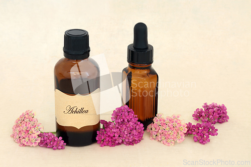Image of Achillea Herb Flower Essence with Tincture Bottles