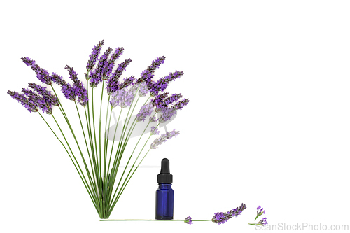 Image of Lavender Flower Herb Aromatherapy Essential Oil 