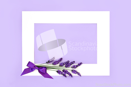 Image of Lavender Flower Herb Floral Background  Border