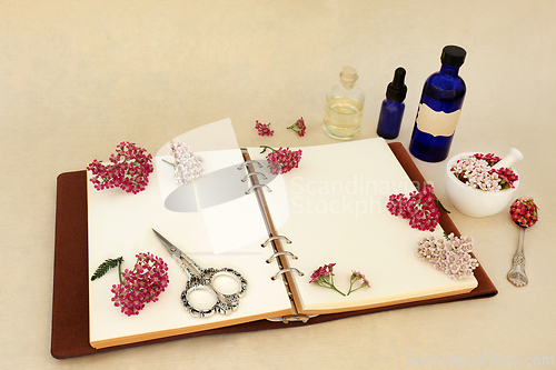 Image of Achillea Herb Flower for Natural Herbal Remedies