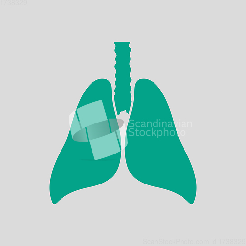 Image of Human Lungs Icon