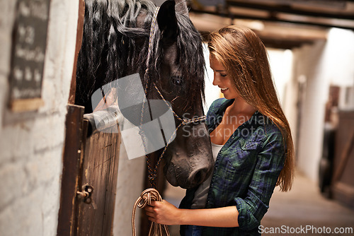 Image of Woman, face and smile with horse in stable for bonding, sports training and recreation in Texas. Stallion, person and animal on farm or barn with happiness for healthy livestock, hobby and pet care