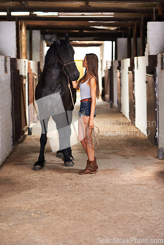 Image of Ranch, woman and horse in stable for bonding, sports training or sustainable farming in Texas with rope. Stallion, person and cowgirl with animal on farm or barn for healthy livestock, hobby and care