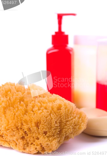 Image of natural sponge, soap and body lotion