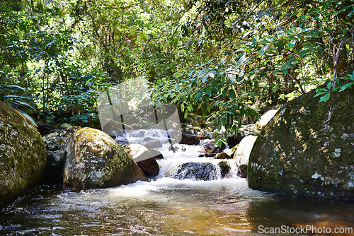 Image of River, rainforest and rocks on landscape with sunshine, growth and sustainability in summer with trees. Water, leaves and earth in tropical jungle with environment, ecology and nature in Colombia