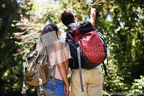Image of Hiking, pointing and back of couple in nature for adventure, love and explore outdoors. Forest, travel and man and woman with view on holiday, vacation and trekking for wellness, fitness or health