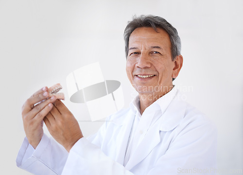 Image of Man, dentist and portrait with denture mold for teeth healthcare for treatment with oral care, consulting or white background. Male person, veneers and mockup in studio or clinic, whitening or clean