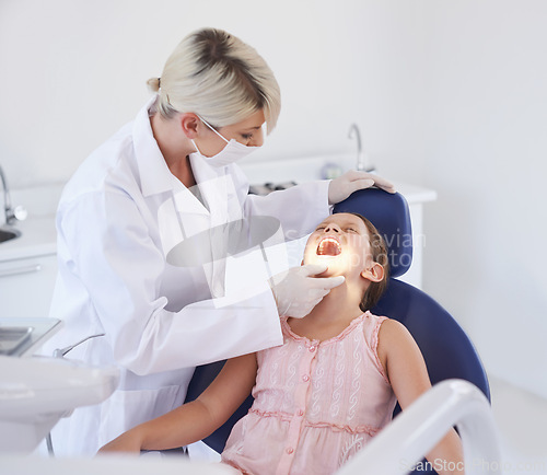 Image of Girl, child and dentist with consultation for healthcare, gum disease and dental hygiene with mouth inspection. Medical, orthodontics and professional for teeth health, cleaning or open with wellness