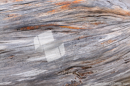 Image of Close-up view of weathered wooden planks showcasing natural text