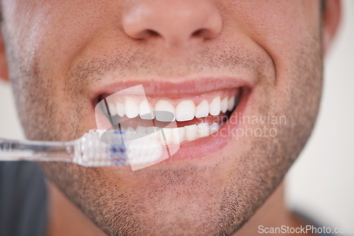 Image of Closeup of person brushing teeth, toothbrush and dental for wellness, fresh breathe and tooth whitening in morning routine. Clean mouth, toothpaste and oral care with orthodontics and hygiene