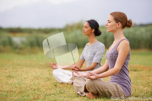 Image of Lotus, friends and meditation outdoor for yoga, healthy body and mindfulness exercise for fitness. Peace, zen and calm women in padmasana in nature for balance, spirituality and practice for wellness