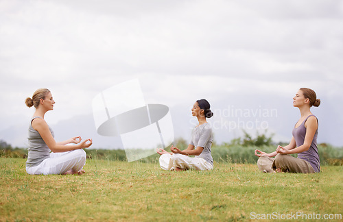 Image of Lotus, group and meditation in nature for yoga, healthy body and mindfulness exercise to relax. Peace, instructor and calm women in padmasana outdoor on mockup, spirituality and breathing together