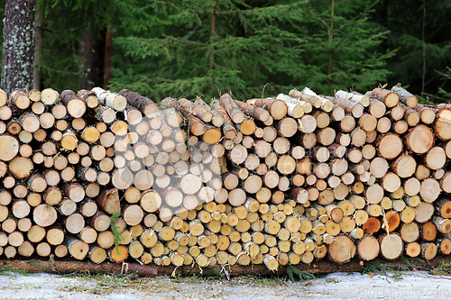 Image of Neatly Stacked Firewood by Forest Road