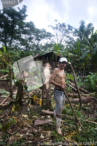 Image of editorial one arm man working in jungle nicaragua