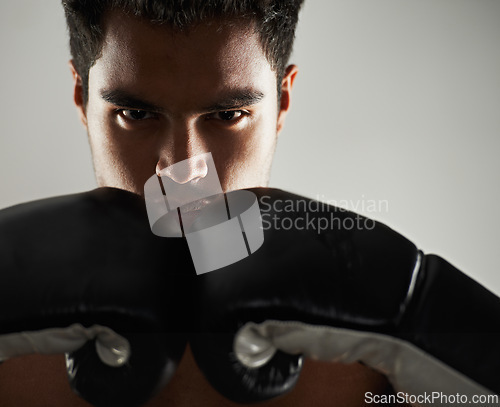 Image of Man, confident and portrait with boxing gloves in studio for self defense, mma and combat. Male person, fighter and personal trainer for physical sport with commitment, serious and closeup for action