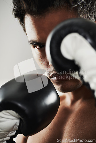 Image of Portrait, man and boxer in training, sports or workout in stance for body health isolated on a gray background in studio. Fight, serious face and athlete in gloves for fitness, exercise and match