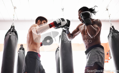 Image of Men, boxer and training competition with gloves in gym or endurance practice for champion, challenge or fighting. Male people, opponents and punch for battle sport with muscle action, exercise or fit