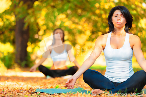 Image of People, lotus and meditation for wellness outdoor in nature for zen and peace of mind, forest and fitness. Women, calm and breathe for chakra of energy with balance for strength and spiritual