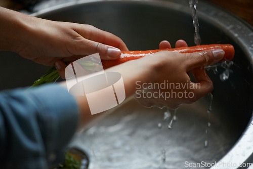 Image of Hands, carrots and washing vegetables or healthy food in sink, preparing meal and kitchen while ready to cook. Person, rinsing fresh produce in basin at home for diet or organic recipe for wellness