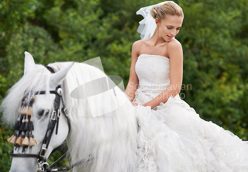 Image of Wedding, woman and riding with horse outdoor or thoughtful for celebration, marriage or confidence in countryside. Bride, person and stallion on lawn in field with smile, dress and animal at ceremony