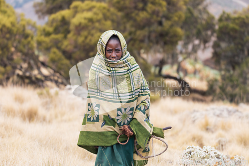 Image of Ethiopian shepherdess girl, Simien Mountains, Ethiopia