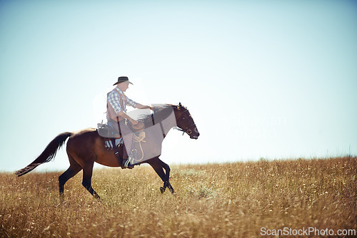 Image of Cowboy, adventure and man riding horse with saddle on field in countryside for equestrian or training. Nature, summer or rodeo and mature horseback rider on animal running outdoor in rural Texas