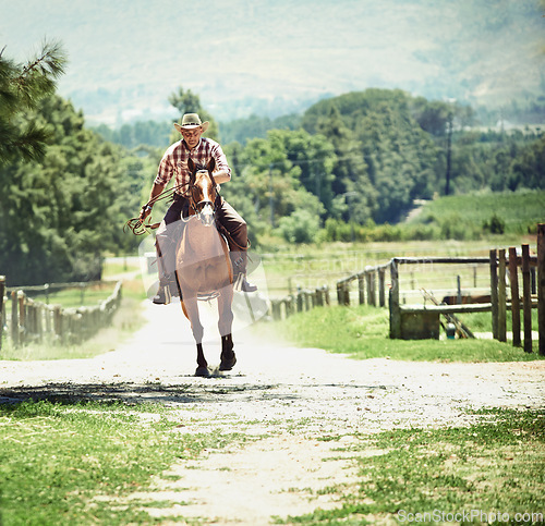 Image of Cowboy, rodeo and man riding horse with saddle on field in countryside for equestrian or training. Nature, summer and western with mature horseback rider on animal at ranch outdoor in rural Texas